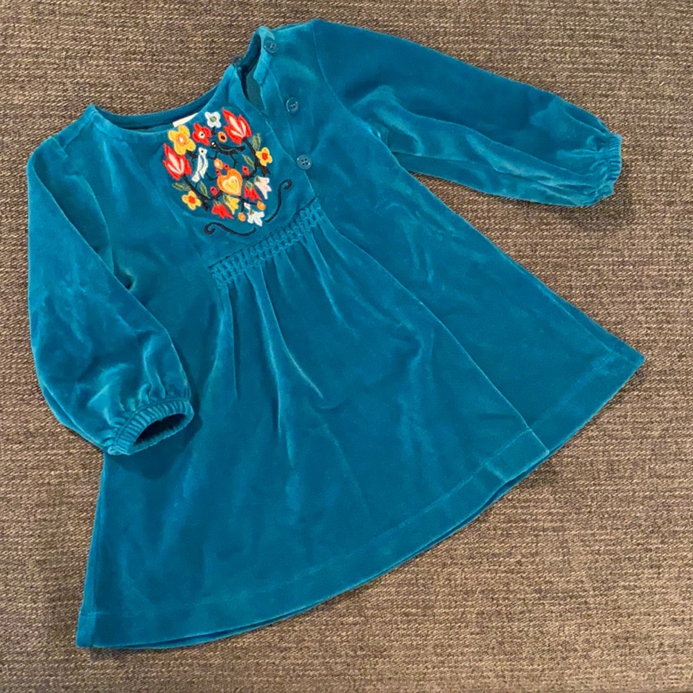 Hanna Andersson Embroidered Velvet Dress